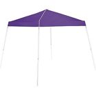 08036 Unbranded Tent Shelter Canopy 715658508036