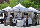 17gm032101p-1 Canopy Patio Garden 10x10ft