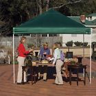 6775995 22563 Shelterlogic Green 10 Outdoor 677599225635
