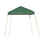 22572 Shelterlogic Durable Green Polyester