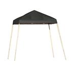 22573 Shelterlogic Uv Protected Black