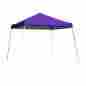6775991 22701 Shelter Logic 8 X Slant Leg Pop-up Canopy Purple Cover Carry Bag Outdoor Canopies 677599227011