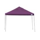 22707 Shelterlogic Purple Polyester 12