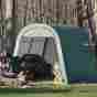 76813 Shelterlogic Roundtop 8 X 12 Ft Round Frame Shed