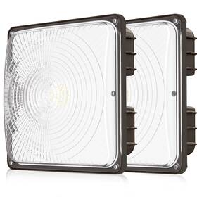 40-2p Cinoton 40w Led Canopy Lights Ul Listed 100-277v Commercial Ou