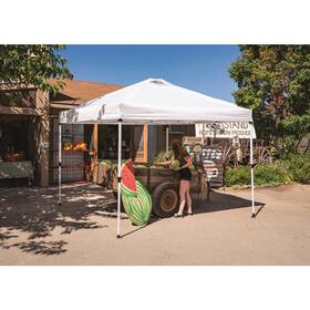 Cshb100-400d Crown Shade 10 Ft. X White Aluminum Frame Commercial Canopy