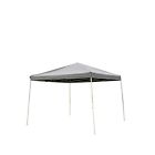 Js-007dg Naturefun Feet Outdoor Steel Frame Pop Up Patio Instant Canopy
