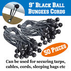 Ls0r1-r3-b-w Strongcamel 50pc 6 And