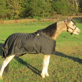 Ozark 789088065872 Mini/pony Light Waterproof Blanket Xx-large Black