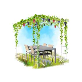Yll-013-whb Shantra 118ftft L X 79ftft W 90.5ftft H Grape Trellis Vine Support Arch Ar
