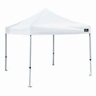 Shelterlogic Alumi Max 10 Ft W X D Canopy 677599227004