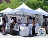 Uc-2x10 Undercover Professional Aluminum Instant Canopy With