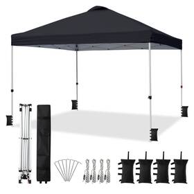 Vingli 810158421202 10ftx10ft Pop Up Canopy Tent With Sandbags And Rolling Bag Portable Instant Part