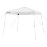 Wmt-11098g Ozark Trail Slant Leg Canopy Simple Push Outdoor 810007481180