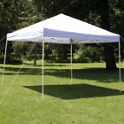 Xlp-174 Sunnydaze Decor White 12ft 815008028174