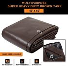 46120 Xs Xpose Safety Storm Damage Poly Tarp Roof Protection Shelter