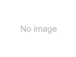 Velarium VSTF60000 Black Universal Cut-to-fit Slide-ou. Fixed Price $298.05.