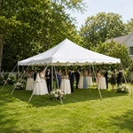20 X Canopy Party Tent White Commercial Backyard Event Waterproof Gazebo. Fixed Price $499.99.