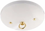 Westinghouse 7003700 - White Modern Canopy Kit. Fixed Price $14.80.