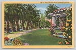 Vintage Linen Postcard Palm Shaded Walk Southern California Garden Pergola. Fixed Price $9.50.