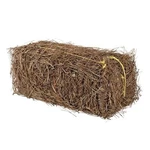 Garden Elements Long Leaf Pine Straw Bale, 1" Depth Covers 70 Sq Ft. Fixed Price $38.84.