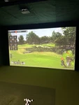 Trackman Premium Impact Screen Projector. Fixed Price $650.00.