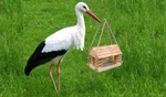 Hido Handmade Bird Waterproof Feeder Outdoor Garden Aisi 316 Screen Unique Gift. Fixed Price $119.00.