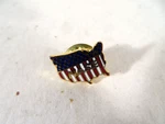 Pin Nase Gold Lettering On The United States With Flag Stars And Strips. Fixed Price $9.95.