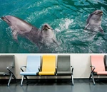 3D Sea Dolphins KEP3165 Wallpaper Mural Self-adhesive Removable Sticker Kay. Fixed Price $37.94.