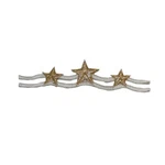 3459A Star Strip Patch Patriotic Symbol Craft Embroidered Iron Applique. Fixed Price $6.99.