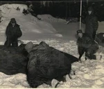 1949 Press Photo Us Army Officers Setting Up Tent On Snow, Big Delta, Alaska. Fixed Price $33.99.