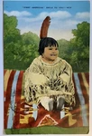 First Baby Postcard Vintage Linen Native Americana. Fixed Price $5.83.