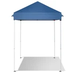 5X5FT Pop Up Canopy Outdoor Portable Folding Instant Gazebo With Bag. Fixed Price $49.79.