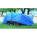 Multiple Use Tarp, 20 Ft W X 30 L, Polyethylene, Blue Ors Nasco Anchor Brand. Fixed Price $61.37.