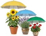 3PCS Plant Shade Umbrellas 23.6" Adjustable Uv Sun Protection Garden Pots. Fixed Price $29.99.
