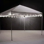 Brightz White Led Light String For Canopies *distressed Pkg. Fixed Price $21.99.