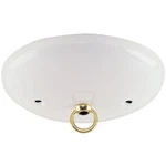 Westinghouse White Canopy. Fixed Price $12.06.