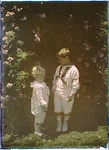 Untermeyer Children,garden,color Autochromes,portrait Photographs,a GENTHE,1915. Fixed Price $12.99.